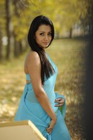 Trisha Hot Saree Photos